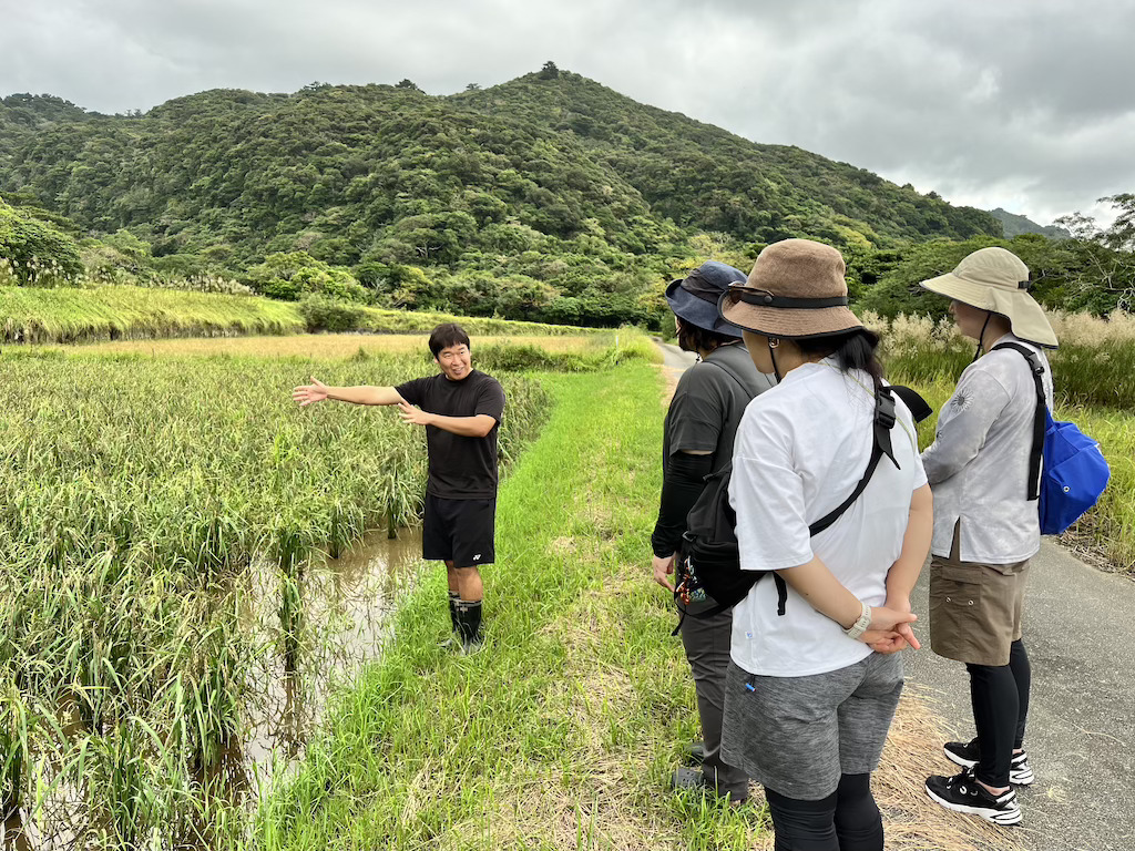 沖縄 西表島 農園体験 旅道楽たかしゅん合同会社